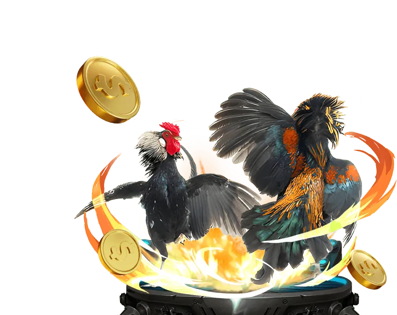 Các loại kèo đá gà phổ biến tại TDTC